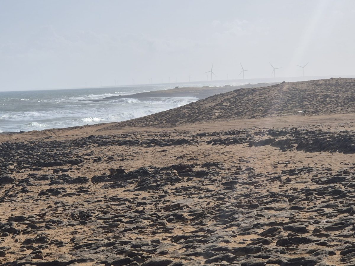 Molinos en La Guajira | Hazel Ingham